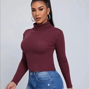 Turtle Neck Textured Knit Top